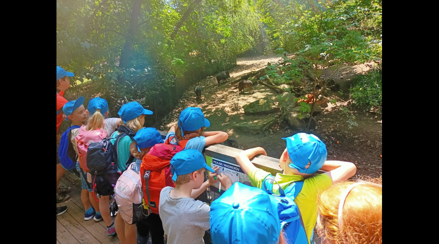 Příměstský tábor v zoo 1 2026