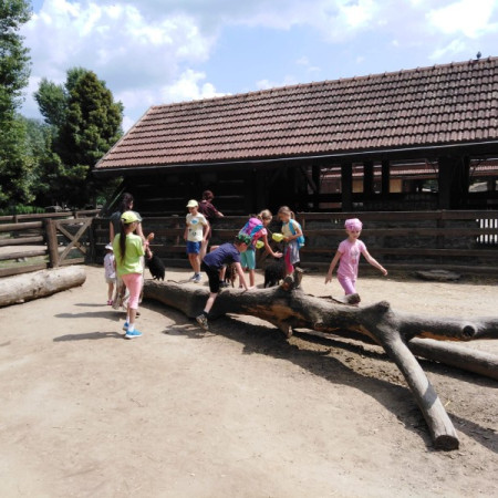 [img-20210726-wa0011.jpeg]