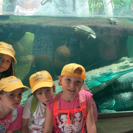 [photo-2023-08-18-17-35-51-2-.jpeg]