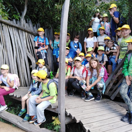 [img-20210807-wa0045.jpeg]