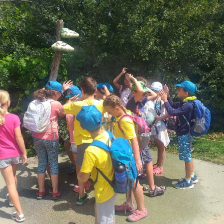 [298385976-792080138872433-7995489494359878764-n.jpeg]