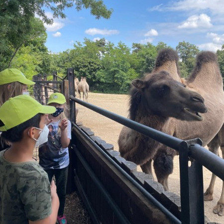 [img-20210723-wa0020.jpeg]