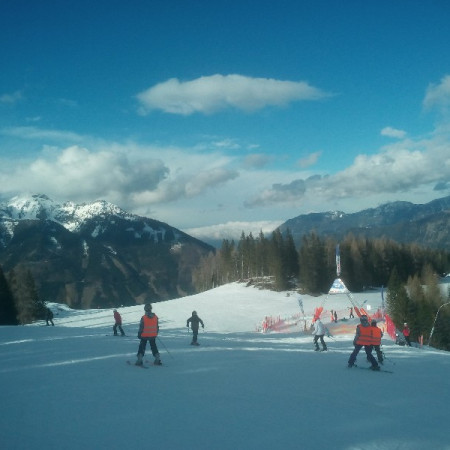 [img-20160229-145602.jpeg]