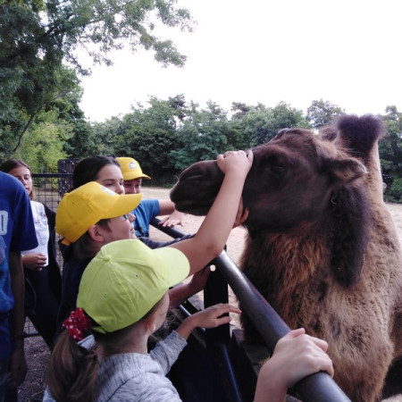 [img-20210807-wa0043.jpeg]