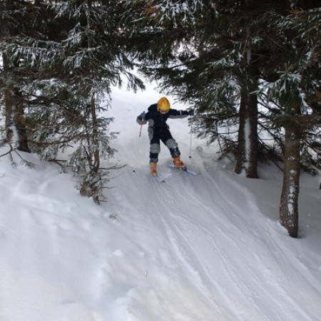 [dsc-0731-resize.jpeg]