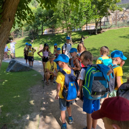 [ae04cb5e-baa1-4c3b-b256-5c80c67309c0.jpeg]