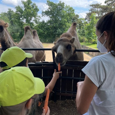 [img-20210723-wa0015.jpeg]