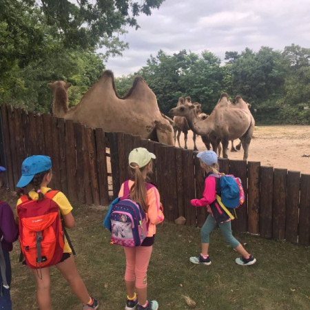 [297957705-394176482856020-2310362690173011598-n.jpeg]