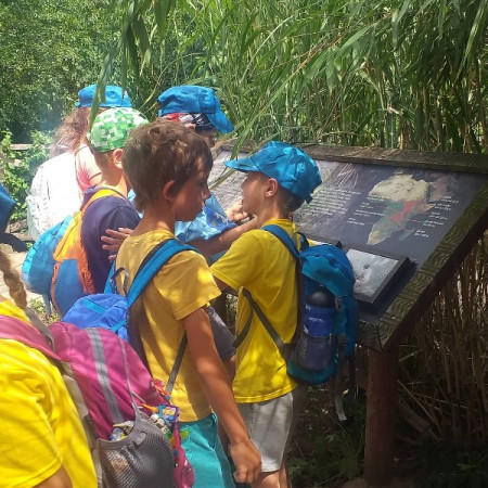 [297852935-621791529458838-5846738079316523496-n.jpeg]