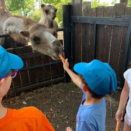 [img-20230711-wa0036.jpeg]