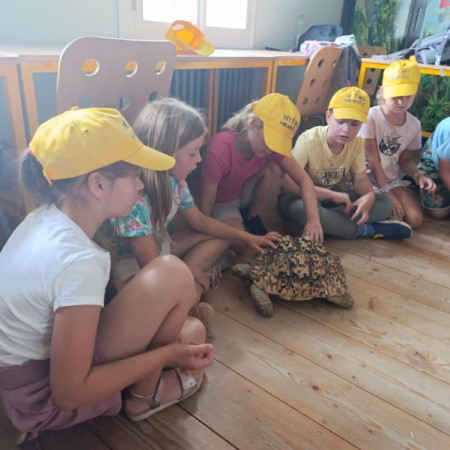 [photo-2024-08-09-16-34-47-2.jpeg]