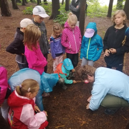 [117110985-294970675257222-6074982015163828187-n.jpeg]