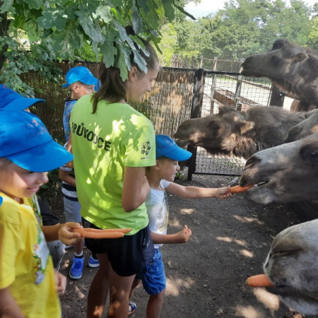 [20220810-132946.jpeg]