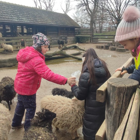 [427910643-10221098011154310-7465841519394445772-n.jpeg]