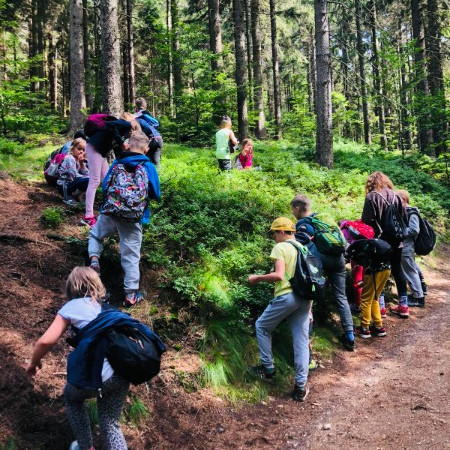 [0ad8d607-6f35-46f7-8e63-2cd6cae8e242.jpeg]