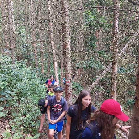 [20250731-165248.jpeg]