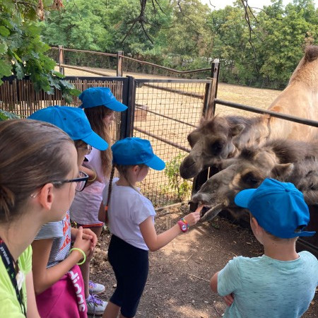 [whatsapp-image-2023-07-28-at-13.05.40.jpeg]