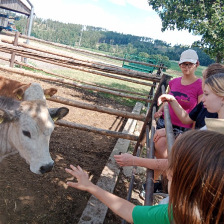 [img-20230707-144053.jpeg]