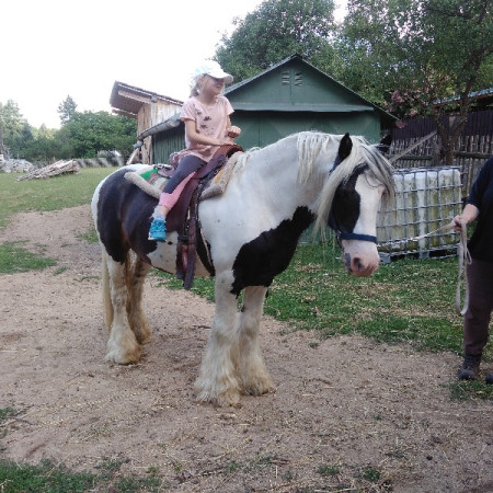 [img-20170703-153216.jpeg]