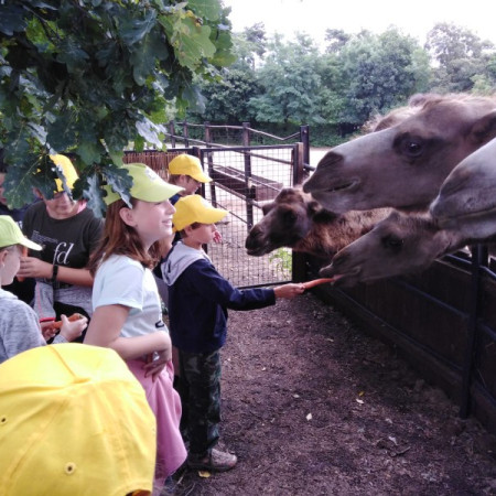 [img-20210807-wa0029.jpeg]