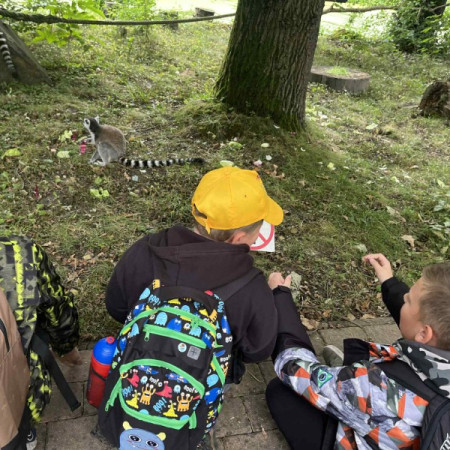 [dd8baeeb-4a97-4102-b7fa-724eda34605d.jpeg]