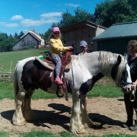 [img-20170713-150250.jpeg]