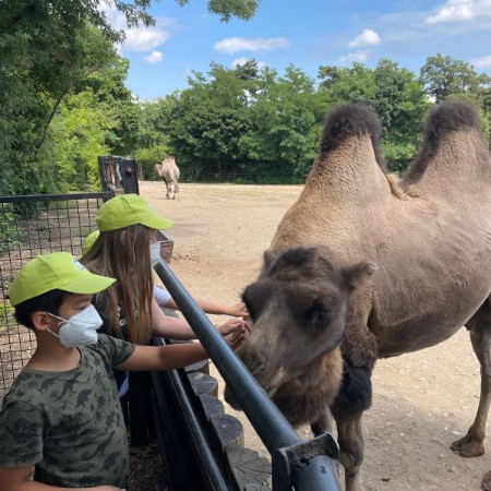 [img-20210723-wa0023.jpeg]