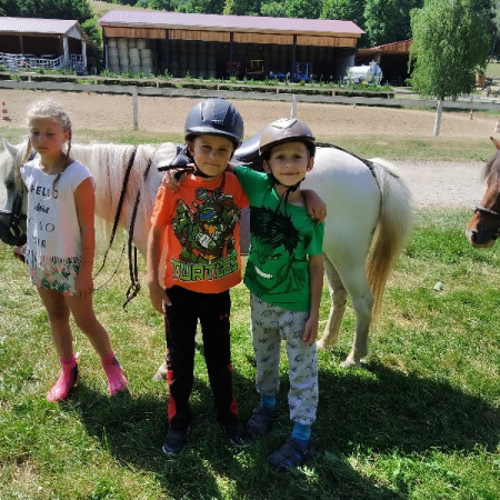 [5.-den-3.7-18-.jpeg]