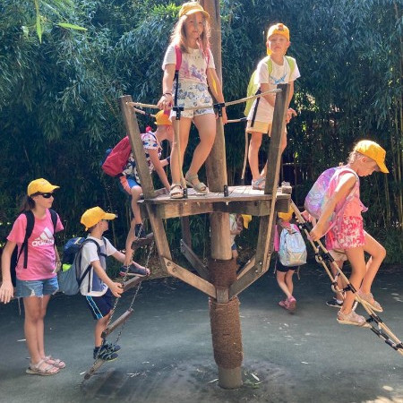 [photo-2023-08-18-17-35-52-4-.jpeg]