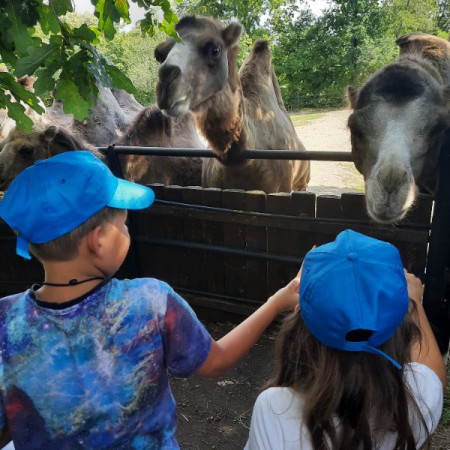 [20220810-133035.jpeg]