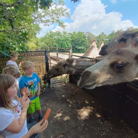 [img-20240701-132846.jpeg]