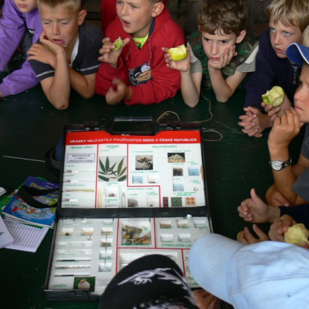 [izs-49-resize.jpeg]