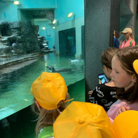 [photo-2024-08-05-19-26-41-2.jpeg]