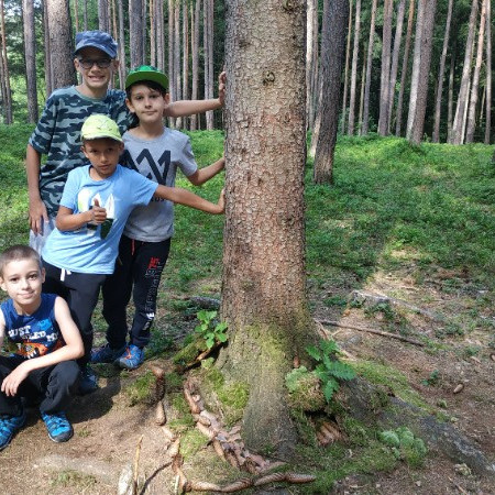 [img-20200702-101925.jpeg]