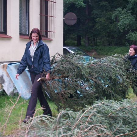 [p7041937-resize.jpeg]