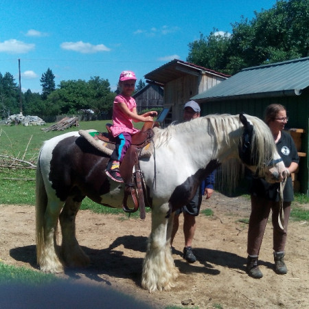 [img-20170713-142414.jpeg]