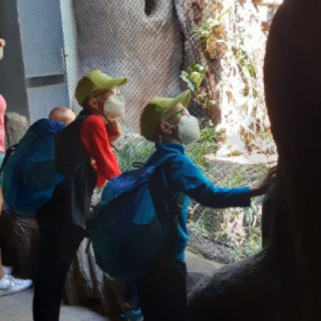 [20210712-125449.jpeg]