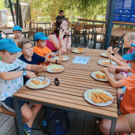 [whatsapp-image-2023-07-28-at-13.07.48-4-.jpeg]