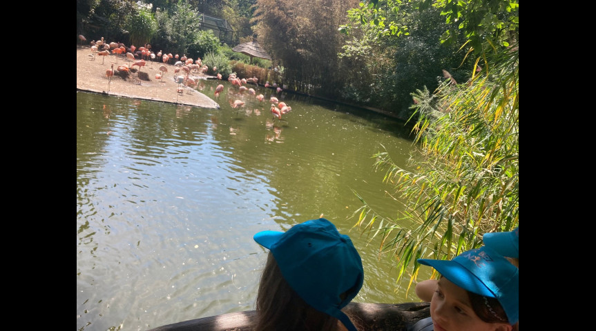 Příměstský tábor v zoo 1 2026