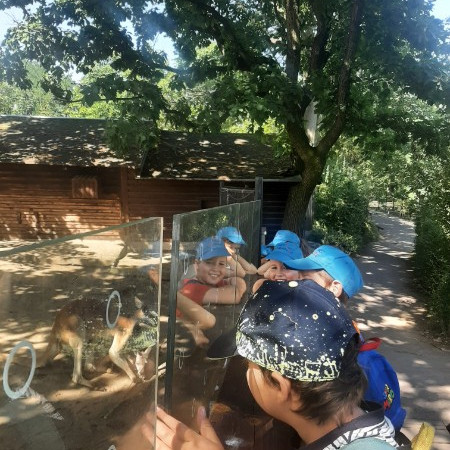 [img-20230714-wa0031.jpeg]