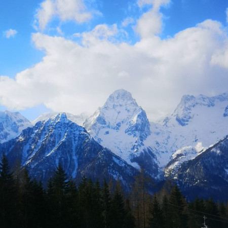 [ecf2117a-e605-4775-b6ae-1be499eaf6f7.jpeg]