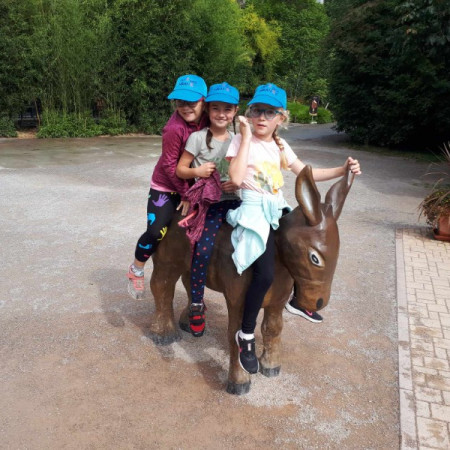 [received-635852505176930.jpeg]