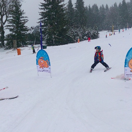 [img-20170310-094221.jpeg]