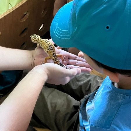 [829bde9a-a53f-4f95-bd2a-71721fc3bd16.jpeg]