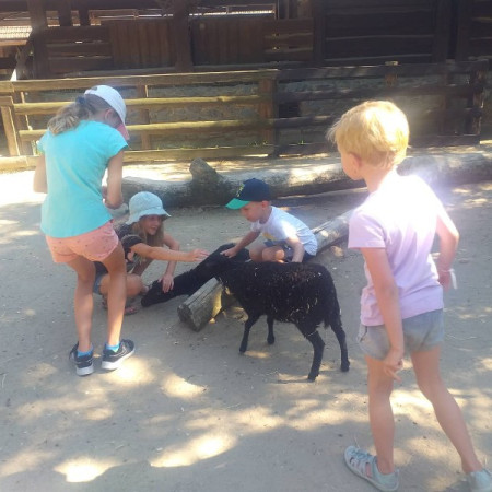 [297954452-641822100349984-1497963945522156041-n.jpeg]