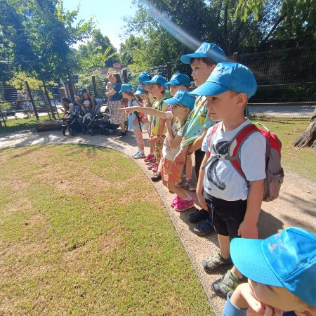 [img-20240729-wa0056.jpeg]