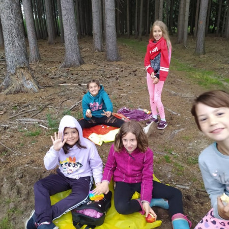 [207166349-816701995885904-6402258235656264500-n-1-.jpeg]