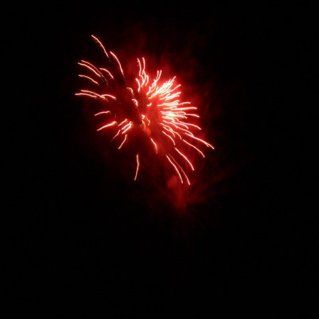 [z-faktor-51-resize.jpeg]