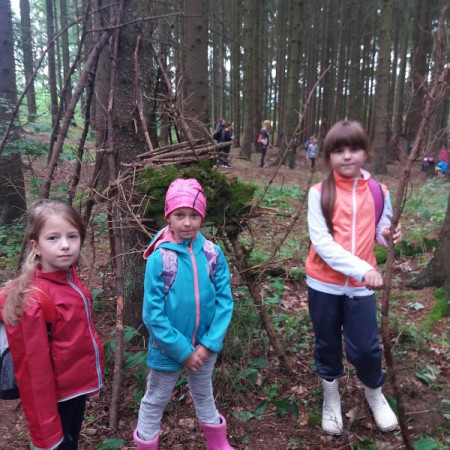 [20347887-1483947058336578-1342577788-o.jpeg]