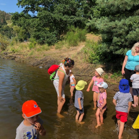 [116430463-621296958521464-216077351066302110-n.jpeg]